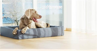 Bia Bed Hondenmand Original Grijs Bia-6 100X80X15 Cm