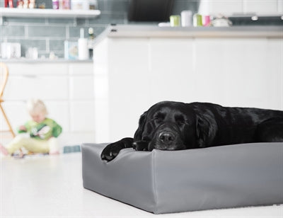 Bia Bed Hondenmand Original Grijs Bia-6 100X80X15 Cm
