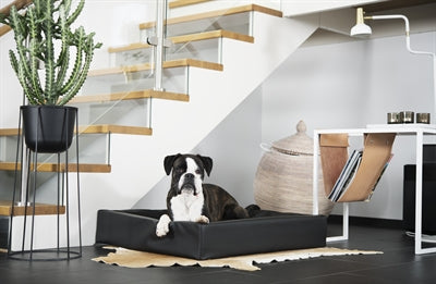 Bia Bed Hondenmand Original Zwart Bia-2 60X50X12,5 Cm