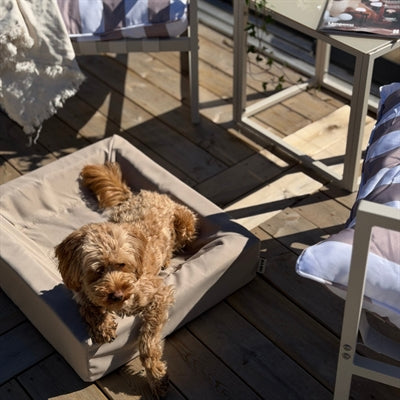 Bia Bed Outdoor Hoes Hondenmand Taupe Bia-2 60X50X12,5 Cm