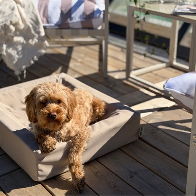 Bia Bed Outdoor Hoes Hondenmand Taupe Bia-2 60X50X12,5 Cm