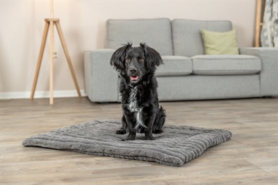 Trixie Ligmat Lonni Ribfluweel Grijs 110X75 Cm