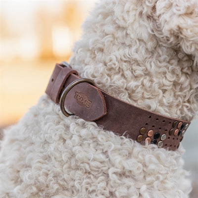 Trixie Halsband Hond Rivet Rustic Vetleer Donkerbruin Xl 55-65 Cmx4 Cm