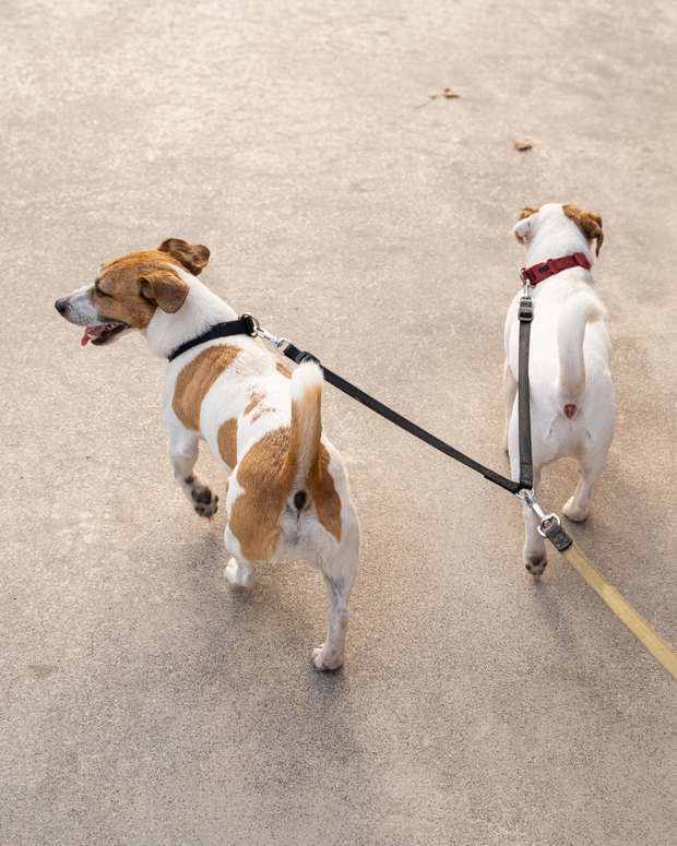 Wandelen